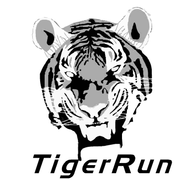 Bandeau flash animé pour Tigerrun
